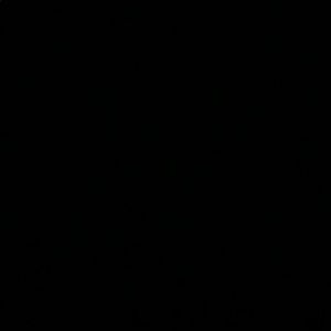 Meet your Posher, Mia